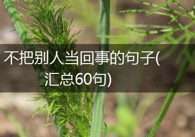 不把别人当回事的句子(汇总60句)