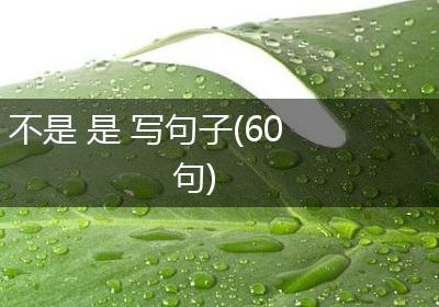 不是 是 写句子(60句)