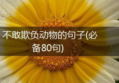 不敢欺负动物的句子(必备80句)