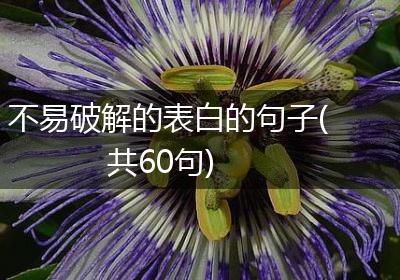 不易破解的表白的句子(共60句)