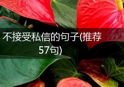 不接受私信的句子(推荐57句)