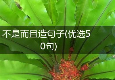 不是而且造句子(优选50句)