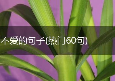 不爱的句子(热门60句)
