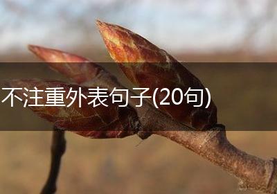 不注重外表句子(20句)