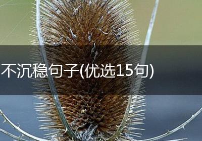 不沉稳句子(优选15句)