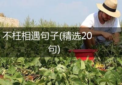 不枉相遇句子(精选20句)