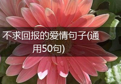不求回报的爱情句子(通用50句)
