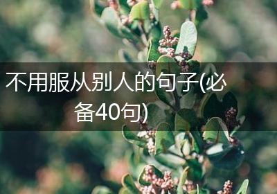 不用服从别人的句子(必备40句)