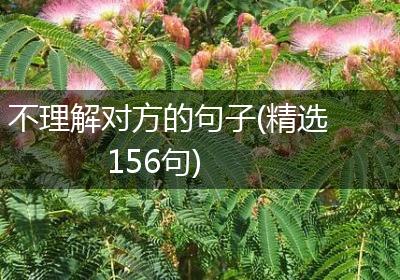 不理解对方的句子(精选156句)