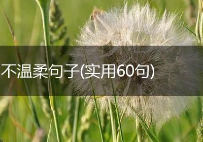 不温柔句子(实用60句)