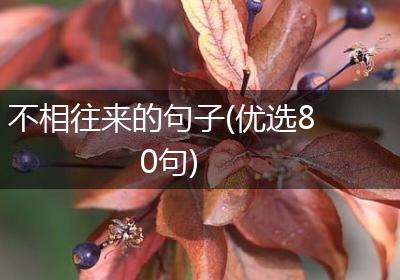 不相往来的句子(优选80句)