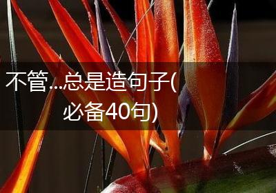 不管...总是造句子(必备40句)