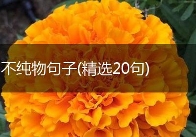 不纯物句子(精选20句)