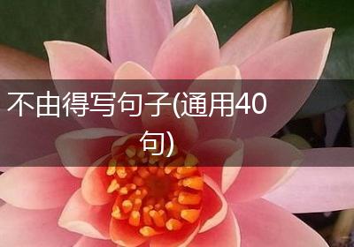 不由得写句子(通用40句)