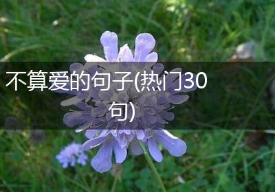 不算爱的句子(热门30句)