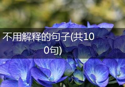 不用解释的句子(共100句)