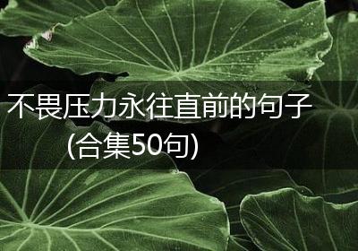 不畏压力永往直前的句子(合集50句)