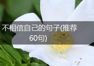 不相信自己的句子(推荐60句)