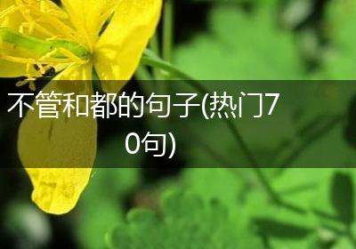 不管和都的句子(热门70句)