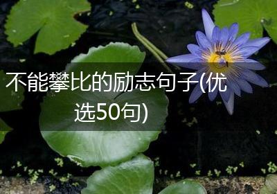 不能攀比的励志句子(优选50句)
