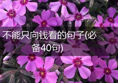 不能只向钱看的句子(必备40句)
