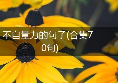 不自量力的句子(合集70句)