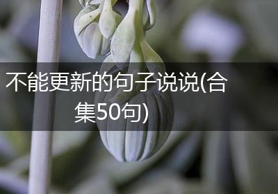 不能更新的句子说说(合集50句)