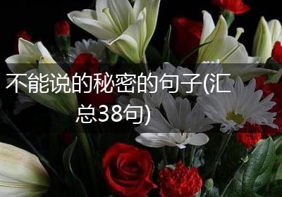不能说的秘密的句子(汇总38句)