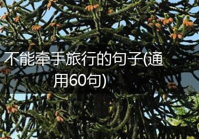 不能牵手旅行的句子(通用60句)