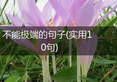 不能极端的句子(实用10句)