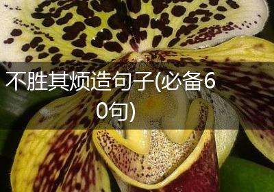 不胜其烦造句子(必备60句)