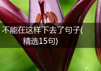 不能在这样下去了句子(精选15句)