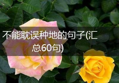 不能耽误种地的句子(汇总60句)
