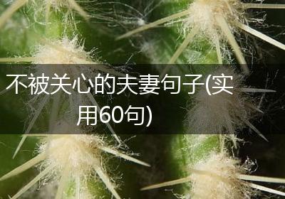 不被关心的夫妻句子(实用60句)