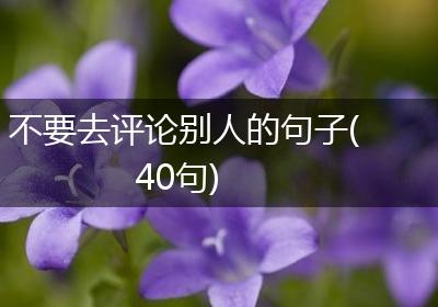 不要去评论别人的句子(40句)