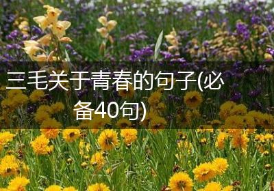 三毛关于青春的句子(必备40句)
