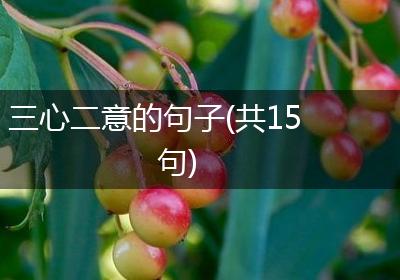 三心二意的句子(共15句)