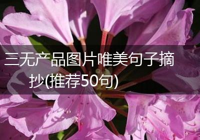 三无产品图片唯美句子摘抄(推荐50句)