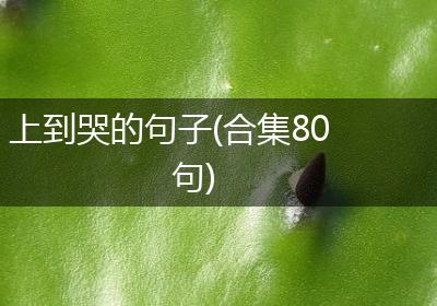 上到哭的句子(合集80句)