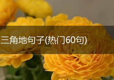 三角地句子(热门60句)
