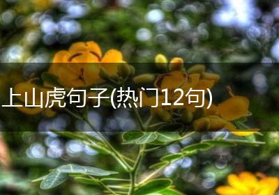 上山虎句子(热门12句)