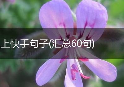 上快手句子(汇总60句)