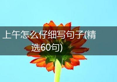 上午怎么仔细写句子(精选60句)