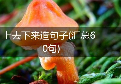 上去下来造句子(汇总60句)