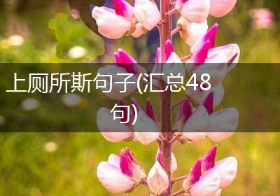 上厕所斯句子(汇总48句)