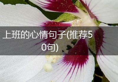上班的心情句子(推荐50句)