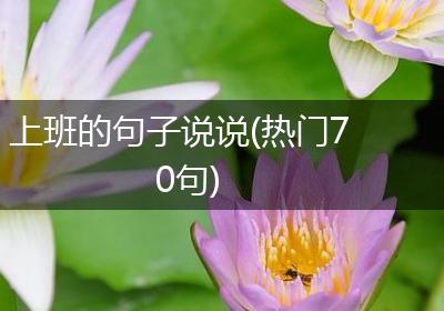 上班的句子说说(热门70句)