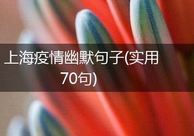 上海疫情幽默句子(实用70句)