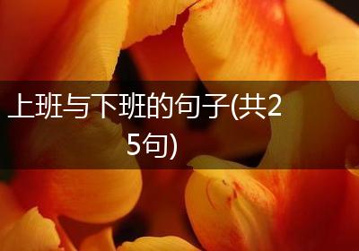 上班与下班的句子(共25句)