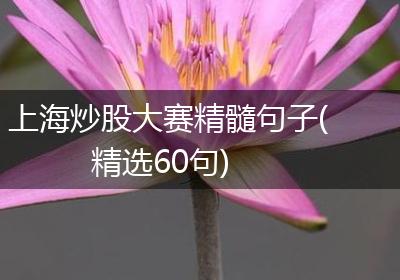 上海炒股大赛精髓句子(精选60句)